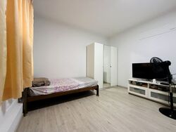 Tiong Bahru Estate (D3), Apartment #474857921